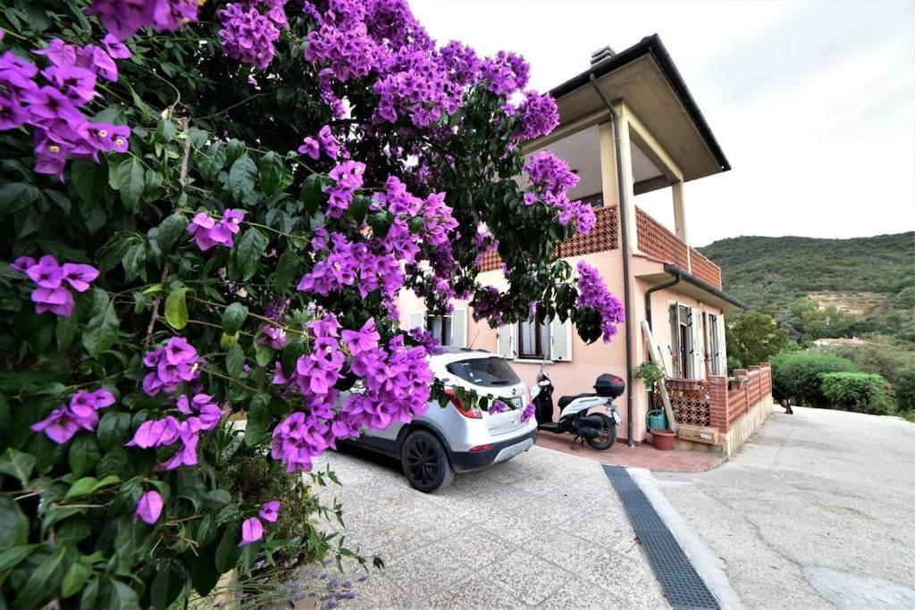 Casa Vacanze Il Pastore Tedesco Portoferraio Exterior foto