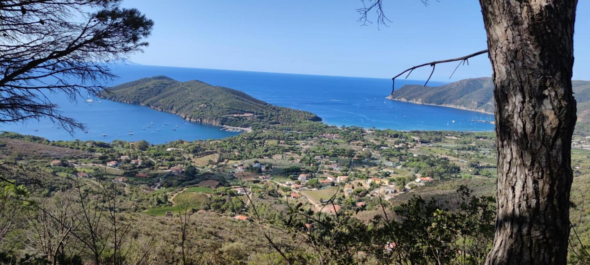 Casa Vacanze Il Pastore Tedesco Portoferraio Exterior foto